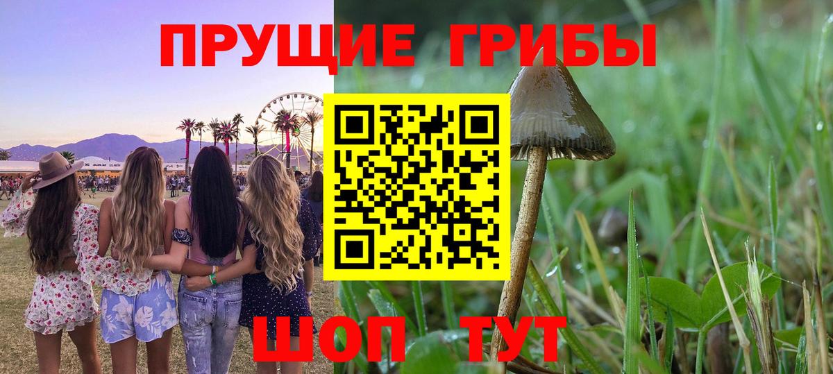 Псилоцибиновые грибы мухоморы Орёл