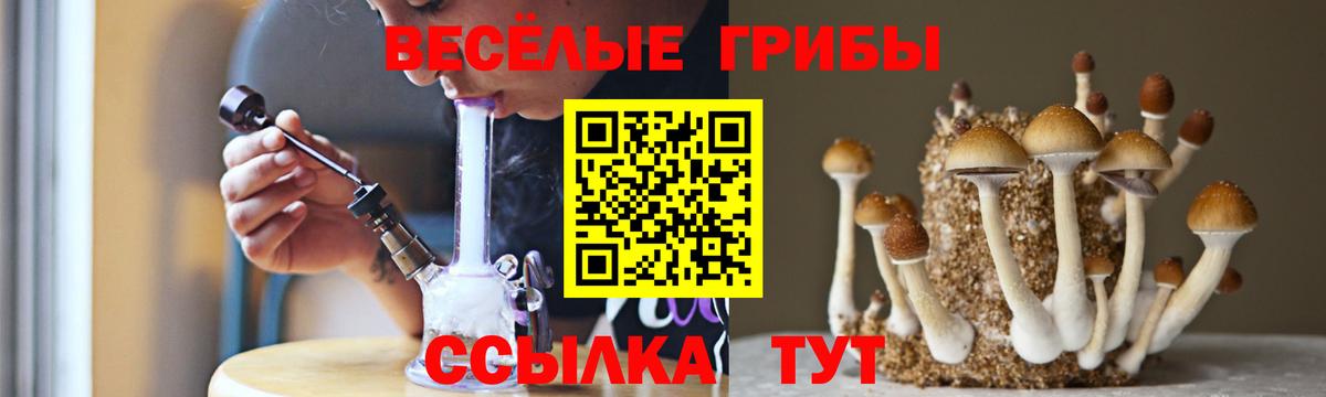 Галлюциногенные грибы Cubensis  Вход с VPN  Орёл 